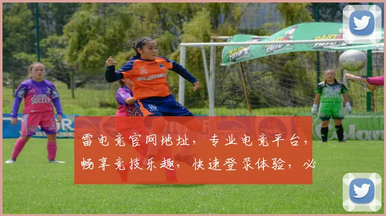 雷电竞官网地址，专业电竞平台，畅享竞技乐趣，快速登录体验，必看攻略