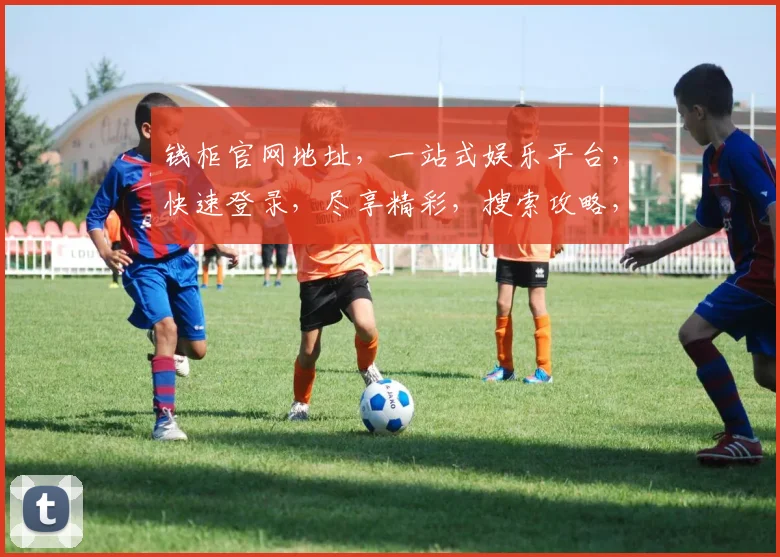 钱柜官网地址，一站式娱乐平台，快速登录，尽享精彩，搜索攻略，必看