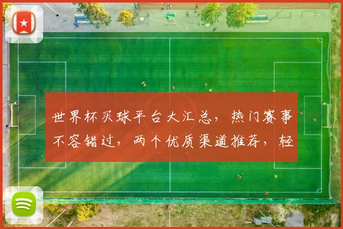 世界杯买球平台大汇总，热门赛事不容错过，两个优质渠道推荐，轻松购球