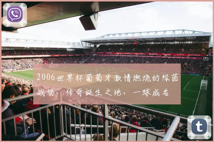 2006世界杯葡萄牙激情燃烧的绿茵战场，传奇诞生之地，一球成名